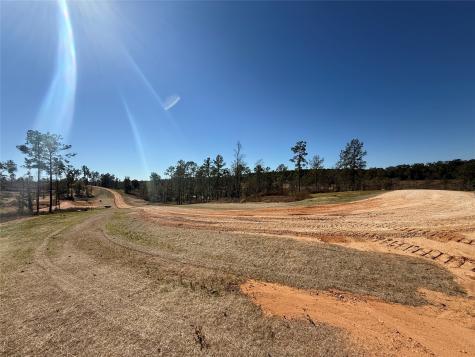 Lot 126 Tranquility Road Livingston TX 77351