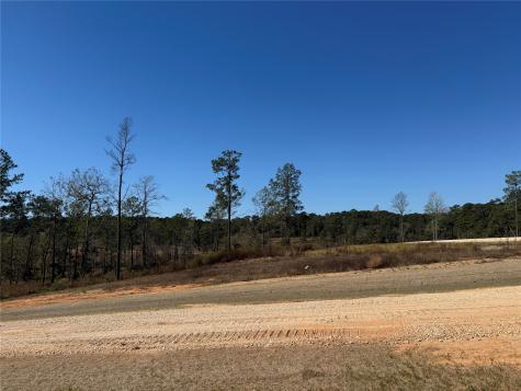 Lot 126 Tranquility Road Livingston TX 77351