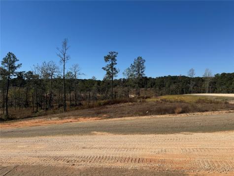 Lot 126 Tranquility Road Livingston TX 77351