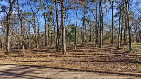 Lots 81 & 82 Lake Oaks Circle Coldspring TX 77331