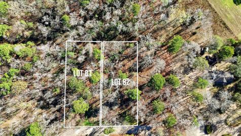 Lots 81 & 82 Lake Oaks Circle Coldspring TX 77331