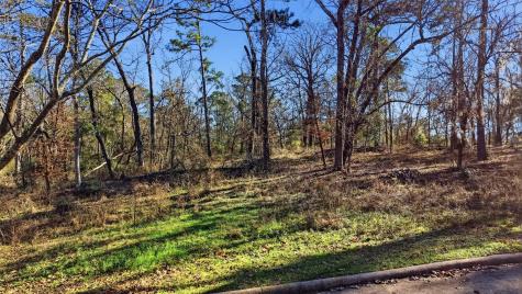 Lots 81 & 82 Lake Oaks Circle Coldspring TX 77331