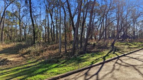 Lots 81 & 82 Lake Oaks Circle Coldspring TX 77331