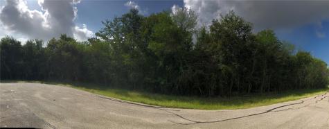 0 Yandell Drive Richmond TX 77469