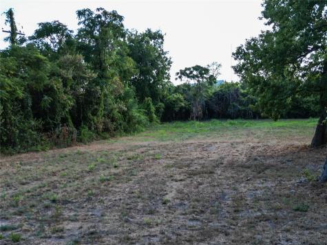 200 S Woodson Street Willis TX 77378