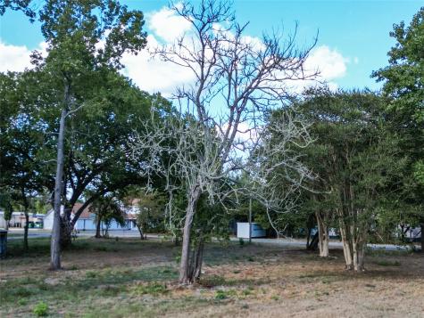 200 S Woodson Street Willis TX 77378