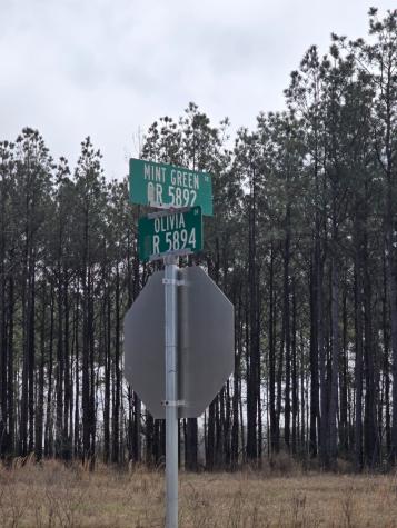 1569 Road 5894 Cleveland TX 77327