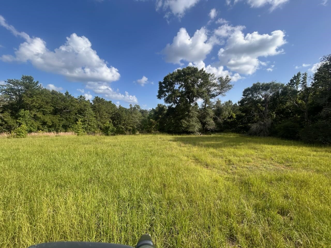Lot 184 & 185 Hunters Creek Hillister TX 77624
