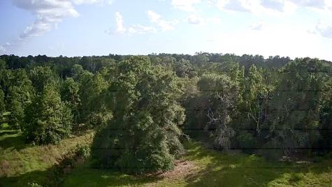 Lot 184 & 185 Hunters Creek Hillister TX 77624