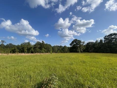 Lot 184 & 185 Hunters Creek Hillister TX 77624