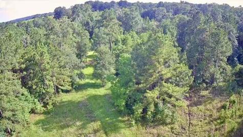 Lot 184 & 185 Hunters Creek Hillister TX 77624