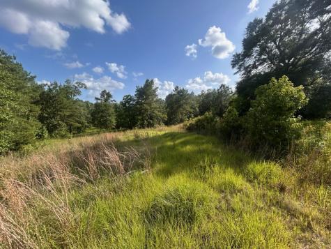 Lot 184 & 185 Hunters Creek Hillister TX 77624