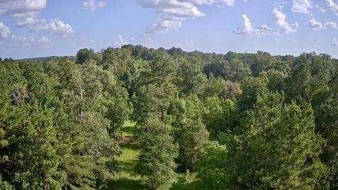 Lot 184 & 185 Hunters Creek Hillister TX 77624