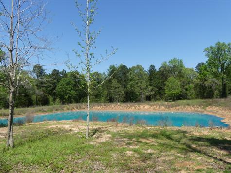 10994 Kittys Lane Conroe TX 77303