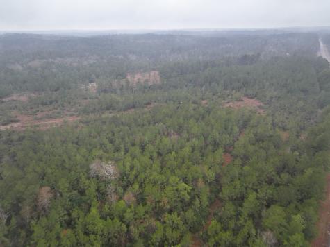 1 Rec Road 255 Colmesneil TX 75938