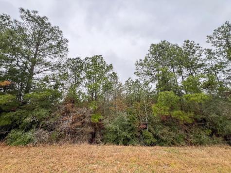 1 Rec Road 255 Colmesneil TX 75938