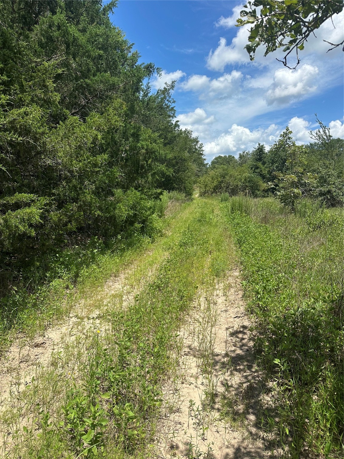 0 Chestnut Drive Caldwell TX 77836