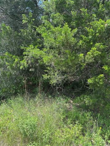 0 Chestnut Drive Caldwell TX 77836
