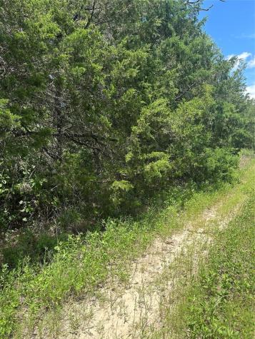 0 Chestnut Drive Caldwell TX 77836