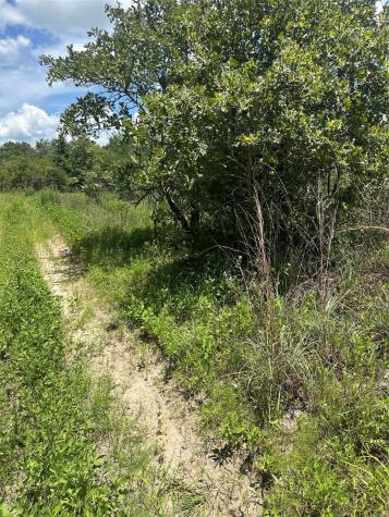 0 Chestnut Drive Caldwell TX 77836