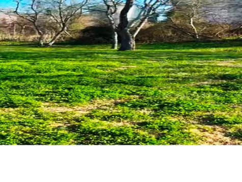 622 6th Street Eagle Lake TX 77434