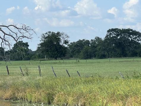 15130 Fm 39 Road Bedias TX 77831