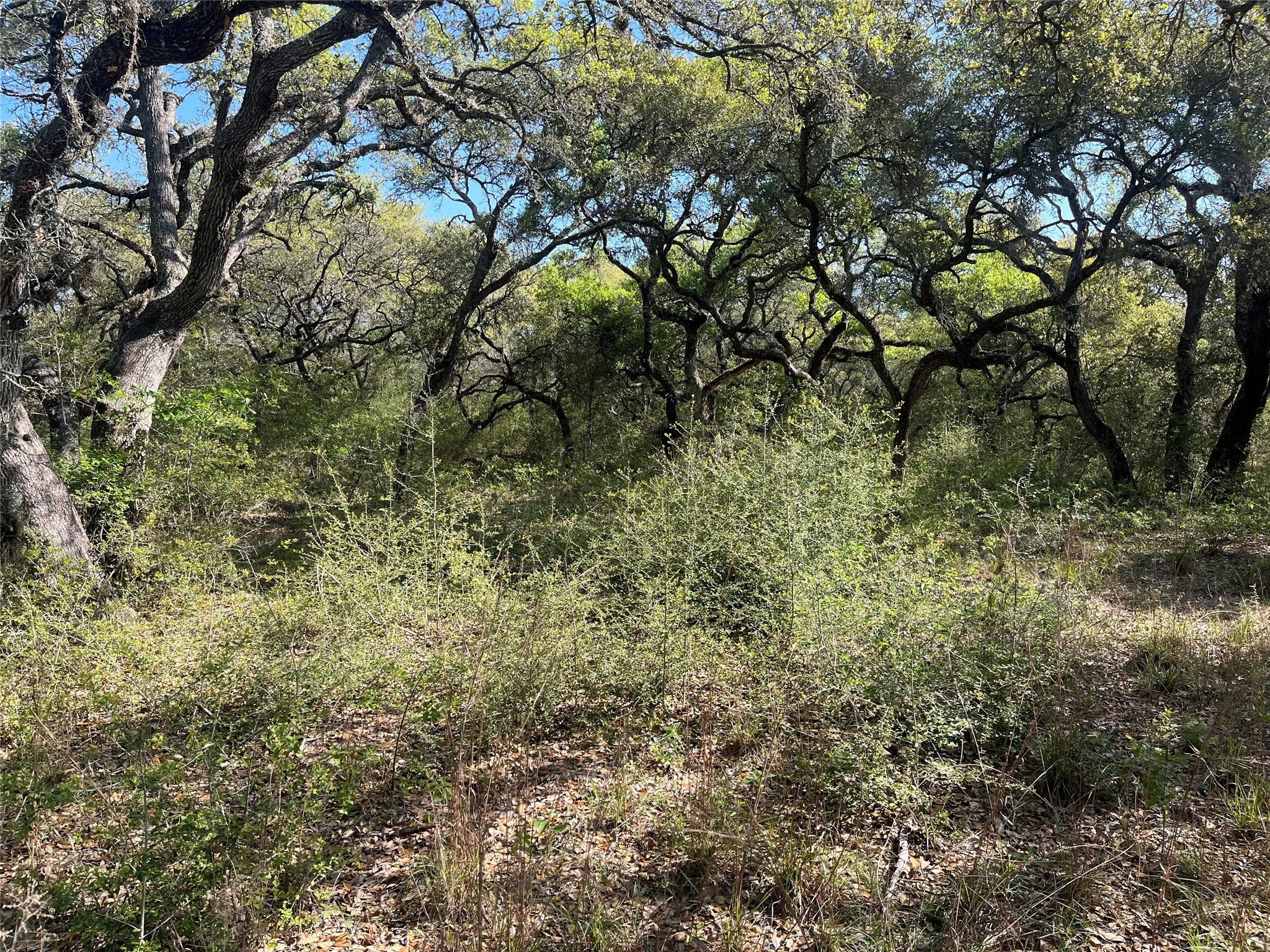 00 County Road 120 Hallettsville TX 77964