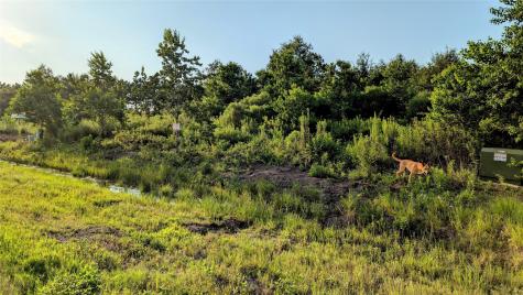 597 Road 5516 Cleveland TX 77327