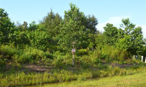 597 Road 5516 Cleveland TX 77327
