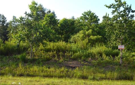 597 Road 5516 Cleveland TX 77327