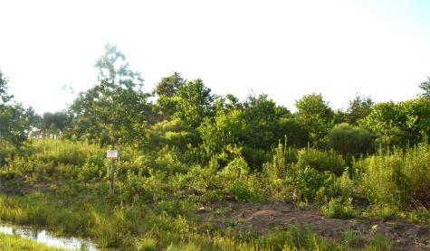 603 Road 5516 Cleveland TX 77327