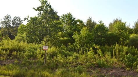 603 Road 5516 Cleveland TX 77327