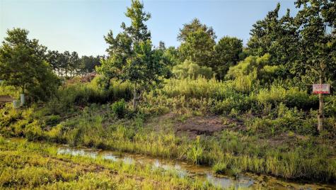 603 Road 5516 Cleveland TX 77327