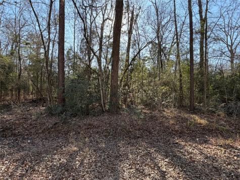 Tbd Lazy Oak Drive Livingston TX 77351