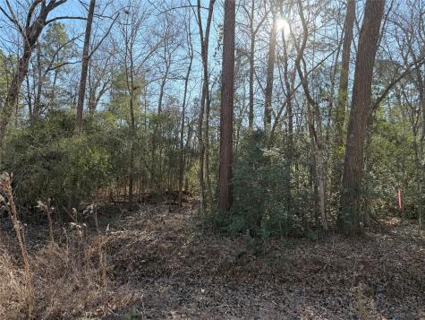 Tbd Lazy Oak Drive Livingston TX 77351