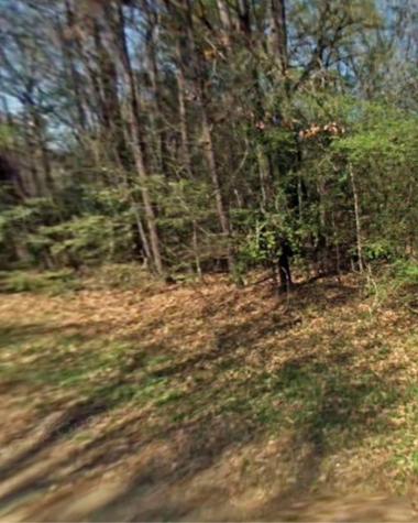 Tbd Lazy Oak Drive Livingston TX 77351