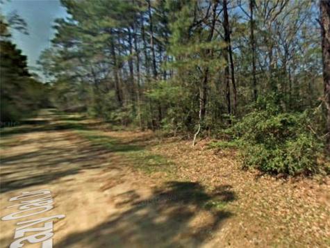 Tbd Lazy Oak Drive Livingston TX 77351