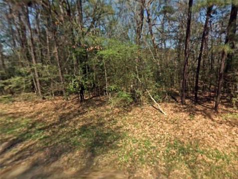 Tbd Lazy Oak Drive Livingston TX 77351