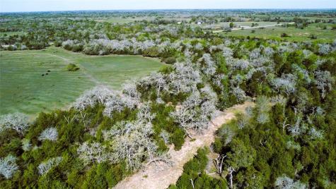 Tbd County Road 138 Hallettsville TX 77964
