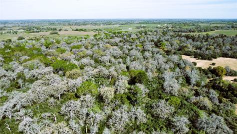 Tbd County Road 138 Hallettsville TX 77964