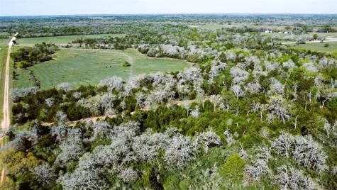Tbd County Road 138 Hallettsville TX 77964