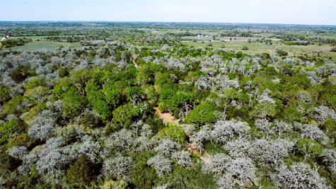 Tbd County Road 138 Hallettsville TX 77964