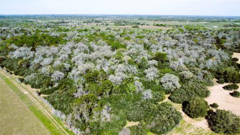 TBD County Road 138 Hallettsville TX 77964