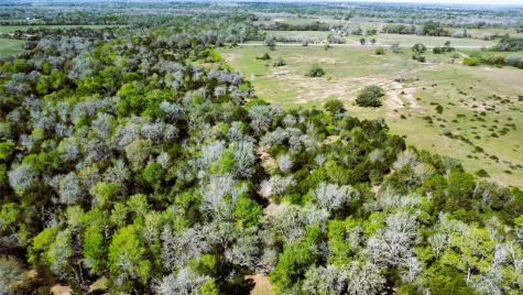 Tbd County Road 138 Hallettsville TX 77964