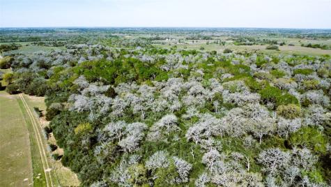 Tbd County Road 138 Hallettsville TX 77964
