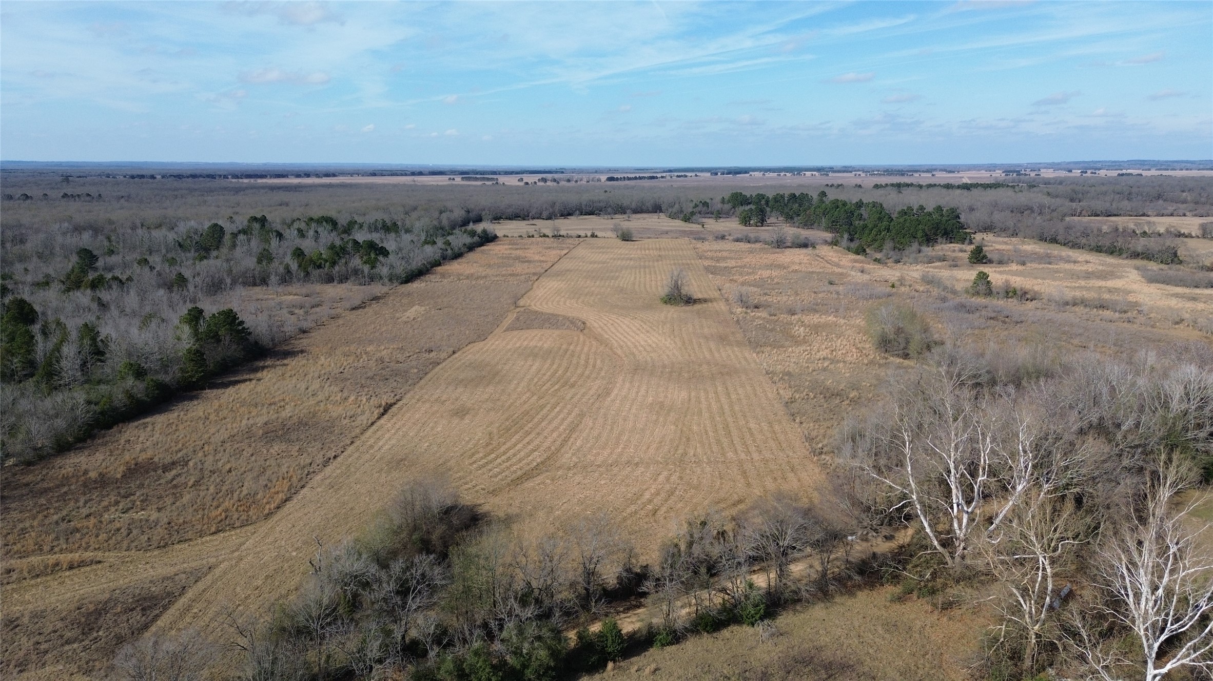 Tbd Cr 2255 Lane Grapeland TX 75844