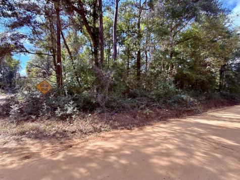 0 Warpath Drive Livingston TX 77351