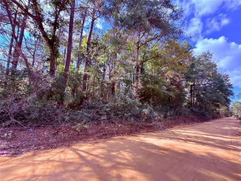 0 Warpath Drive Livingston TX 77351