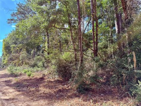 0 Warpath Drive Livingston TX 77351