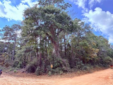 0 Warpath Drive Livingston TX 77351